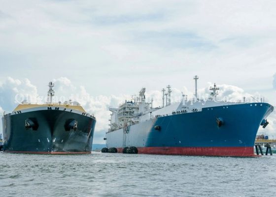 गुणवत्ता शिप-टू-शिप (एसटीएस) ट्रांसफर पेपरेशंस के लिए योकोहामा न्यूमेटिक रबर फेंडर फैक्टरी