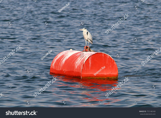 गुणवत्ता नौका के लिए उच्च उछाल वाले बड़े स्टील मूरिंग बॉय फ्लोटिंग समुद्री बॉय फैक्टरी